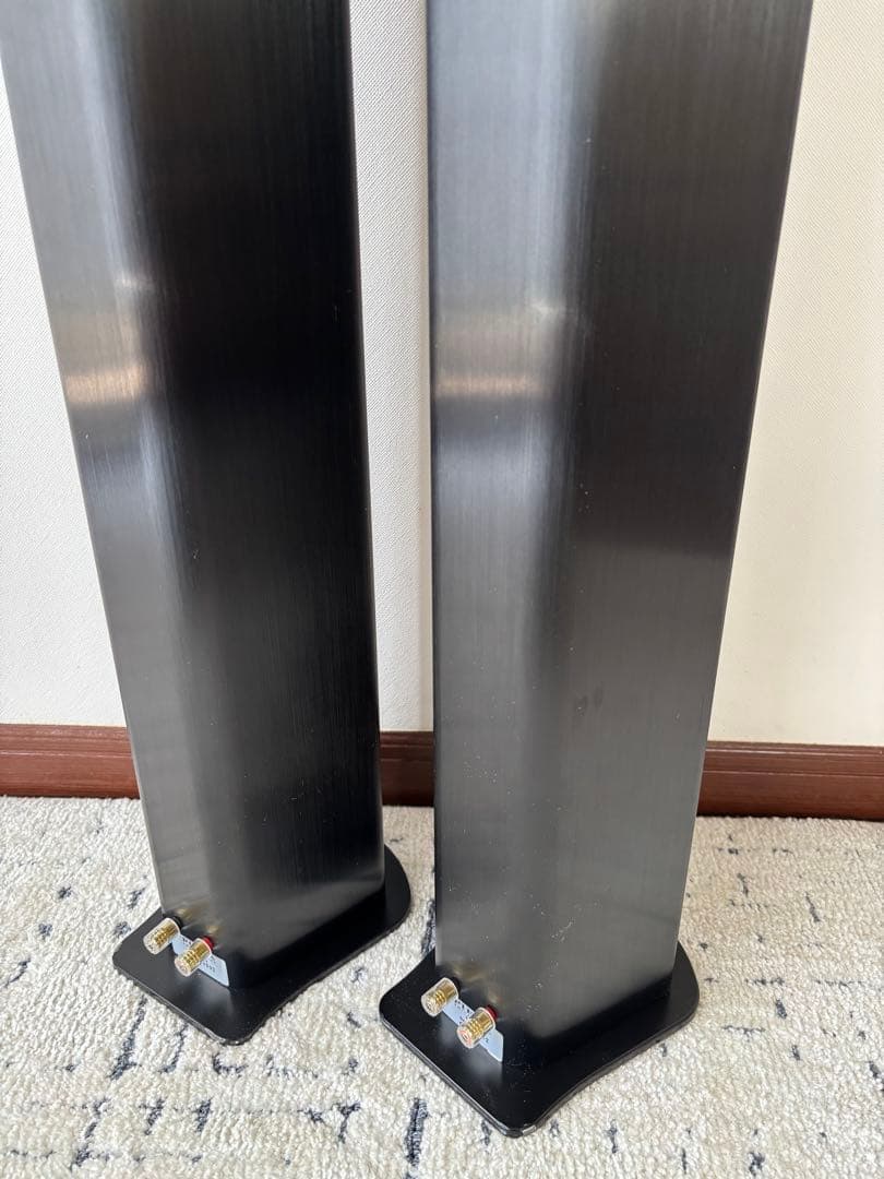 Piega Speakers Tmicro5