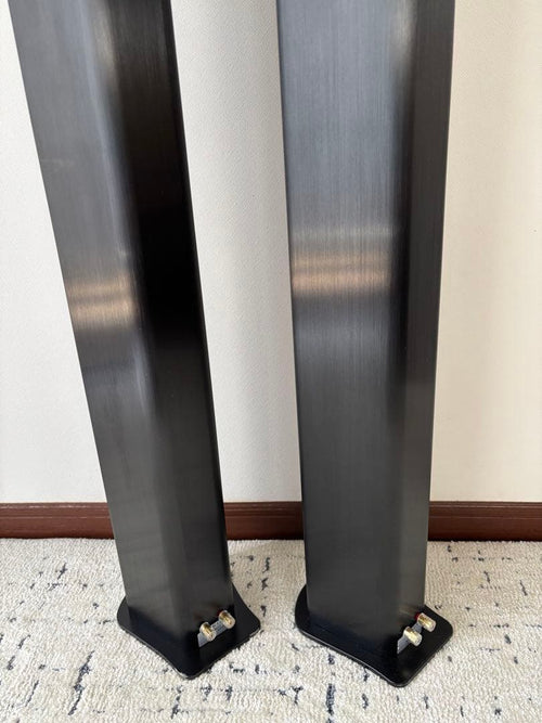 Piega Speakers Tmicro5