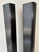 Piega Speakers Tmicro5