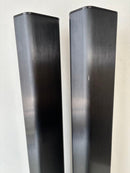 Piega Speakers Tmicro5