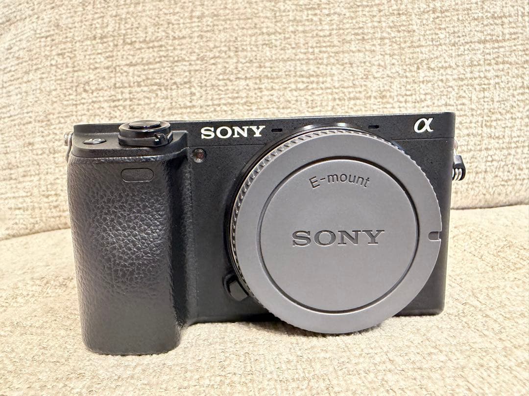 Sony Mirrorless Interchangeable Lens Cameras 6400 Selp1650