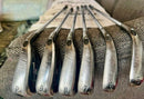 Cleveland Golf Iron Sets Xr Pro 6