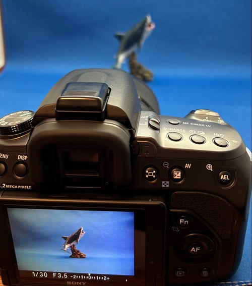 Sony Digital Slrs 550 Dt18-135Mm