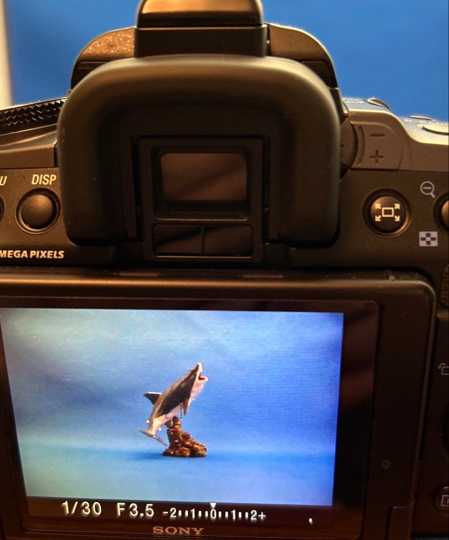 Sony Digital Slrs 550 Dt18-135Mm