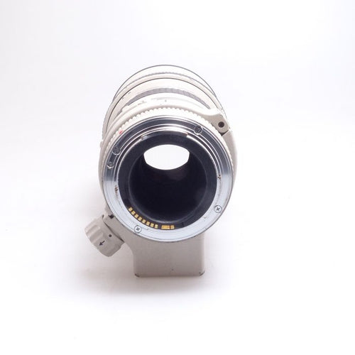 Canon Others Ef 300/4L Usm
