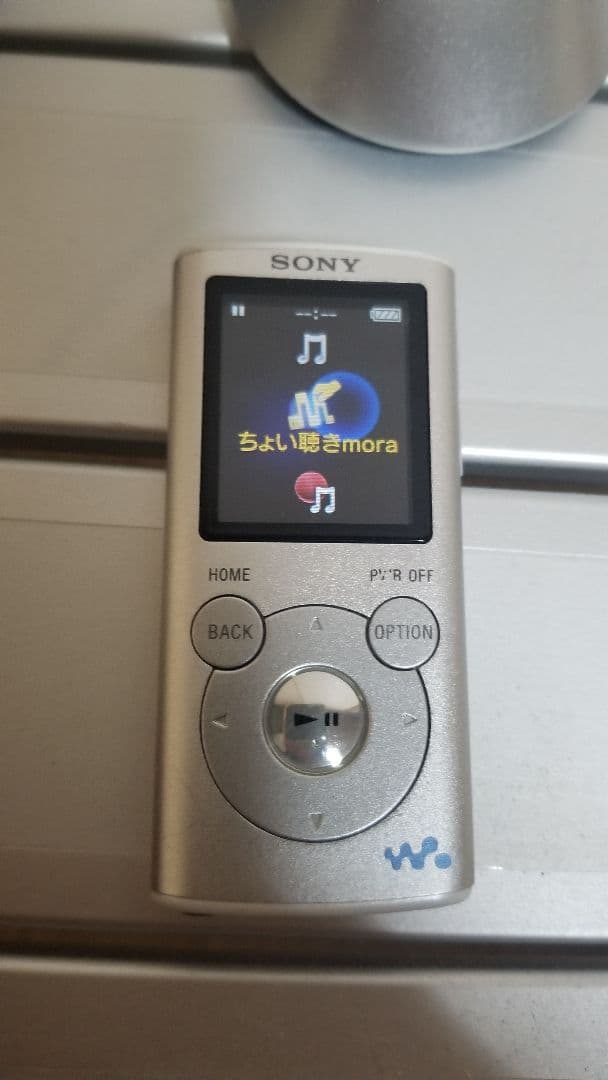 Sony Digital Audio Players Walkman Nw-E053
