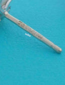 Tiffany Earrings (Pairs)