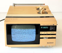 Other Sony Tv-503 Radiomuseum