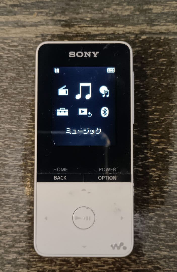 Sony Digital Audio Player Nw-S315