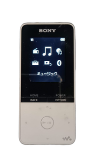 Sony Digital Audio Player Nw-S315