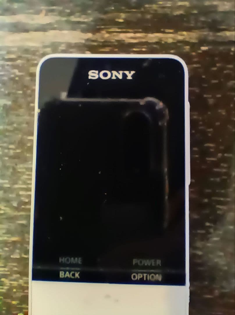 Sony Digital Audio Player Nw-S315