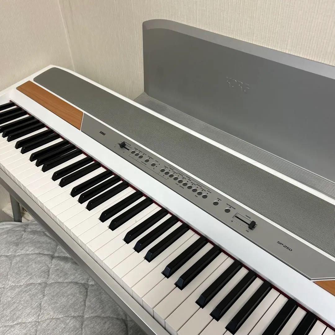 Korg Keyboards Digital Pianos Sp-250