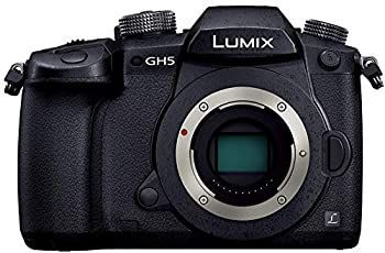 Digital Slr Gh5 Dc-Gh5-K