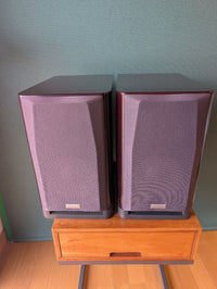 Onkyo Speakers D-302E