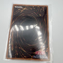 Yu-Gi-Oh! Ocg Duel Monsters (Japanese)