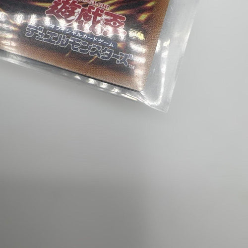 Yu-Gi-Oh! Ocg Duel Monsters (Japanese)