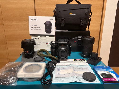 Mirrorless Interchangeable Lens Cameras