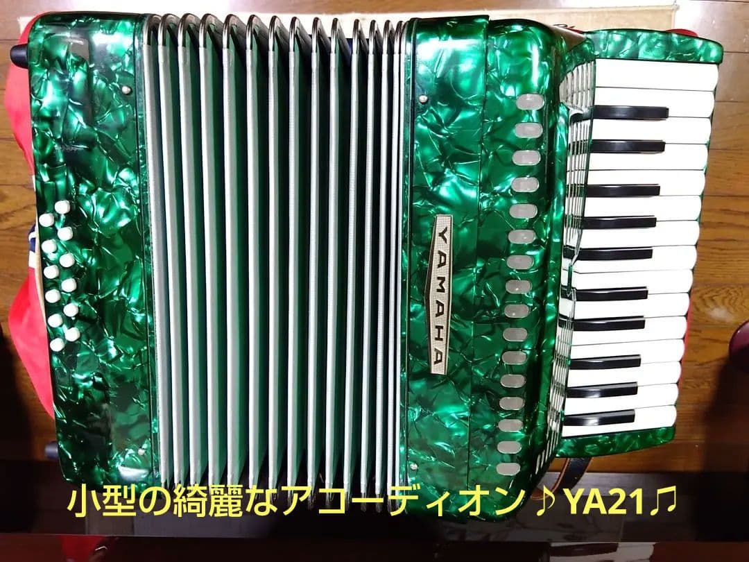 Yamaha Accordions Ya-12