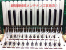 Yamaha Accordions Ya-12