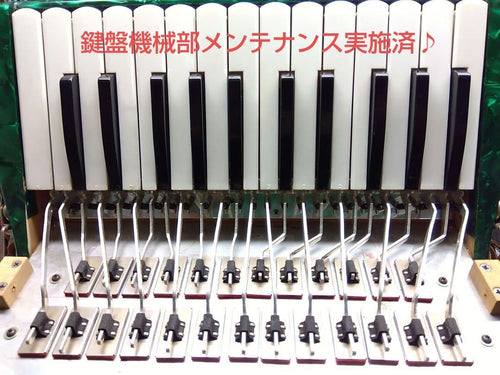 Yamaha Accordions Ya-12