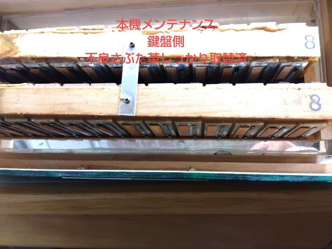 Yamaha Accordions Ya-12