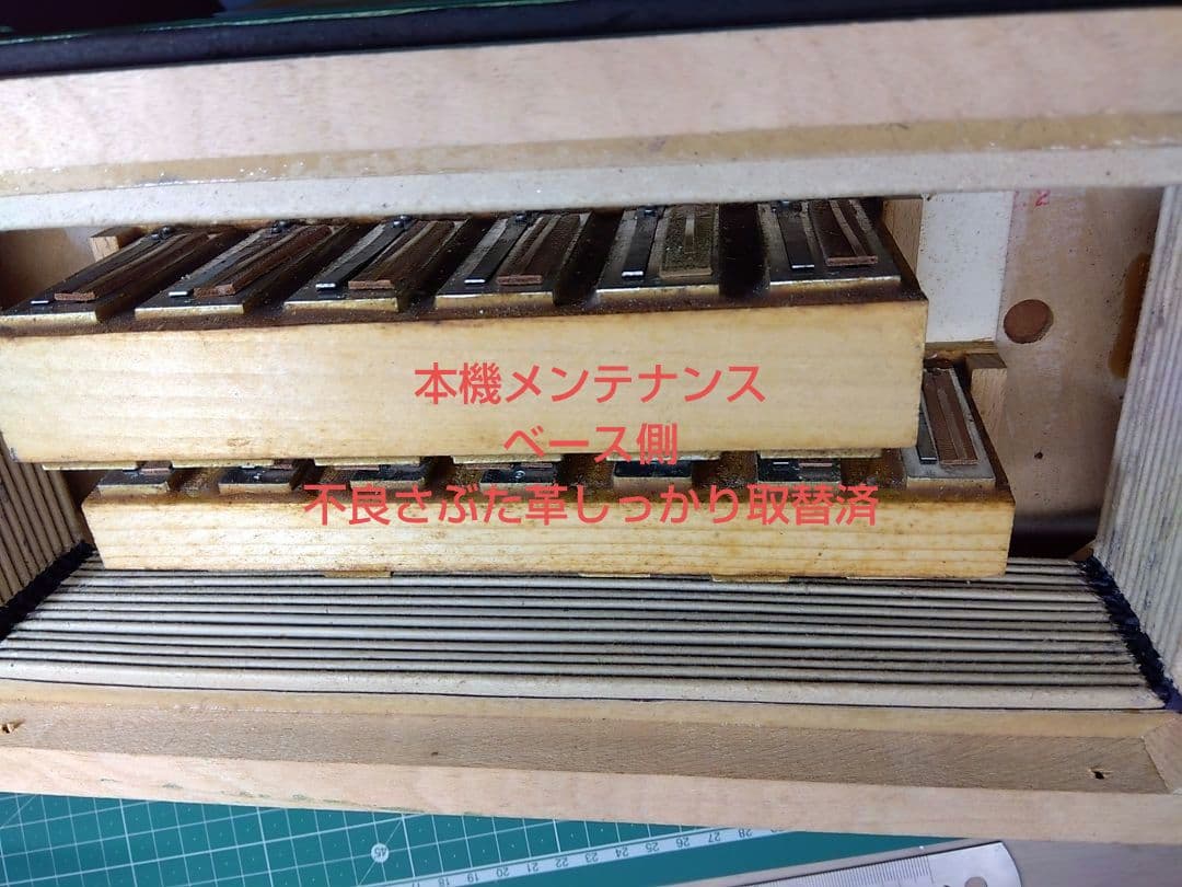 Yamaha Accordions Ya-12
