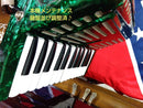 Yamaha Accordions Ya-12