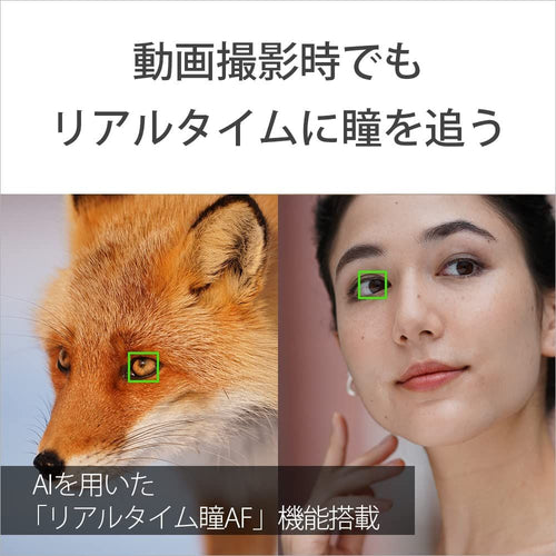 Mirrorless Interchangeable Lips 30 Sony( 7C Ilce-7C B
