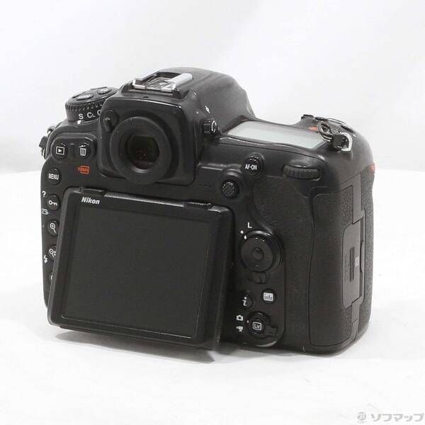 Nikon Digital Slr D500 295