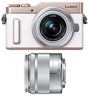 Digital Slr Gf10 Dc-Gf10Wa-W