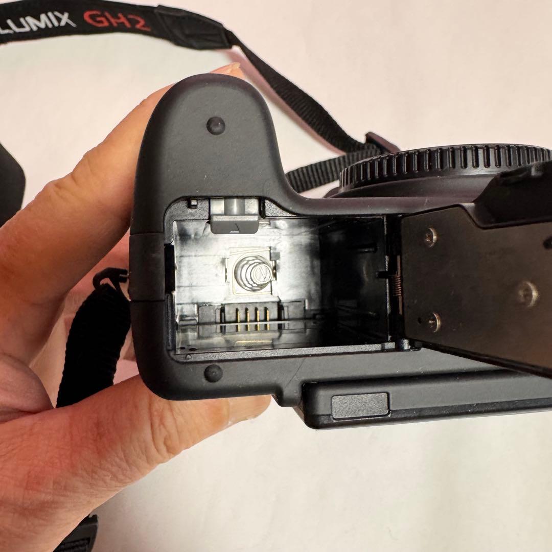 Panasonic Mirrorless Interchangeable Lips Lumix Dmc-Gh1