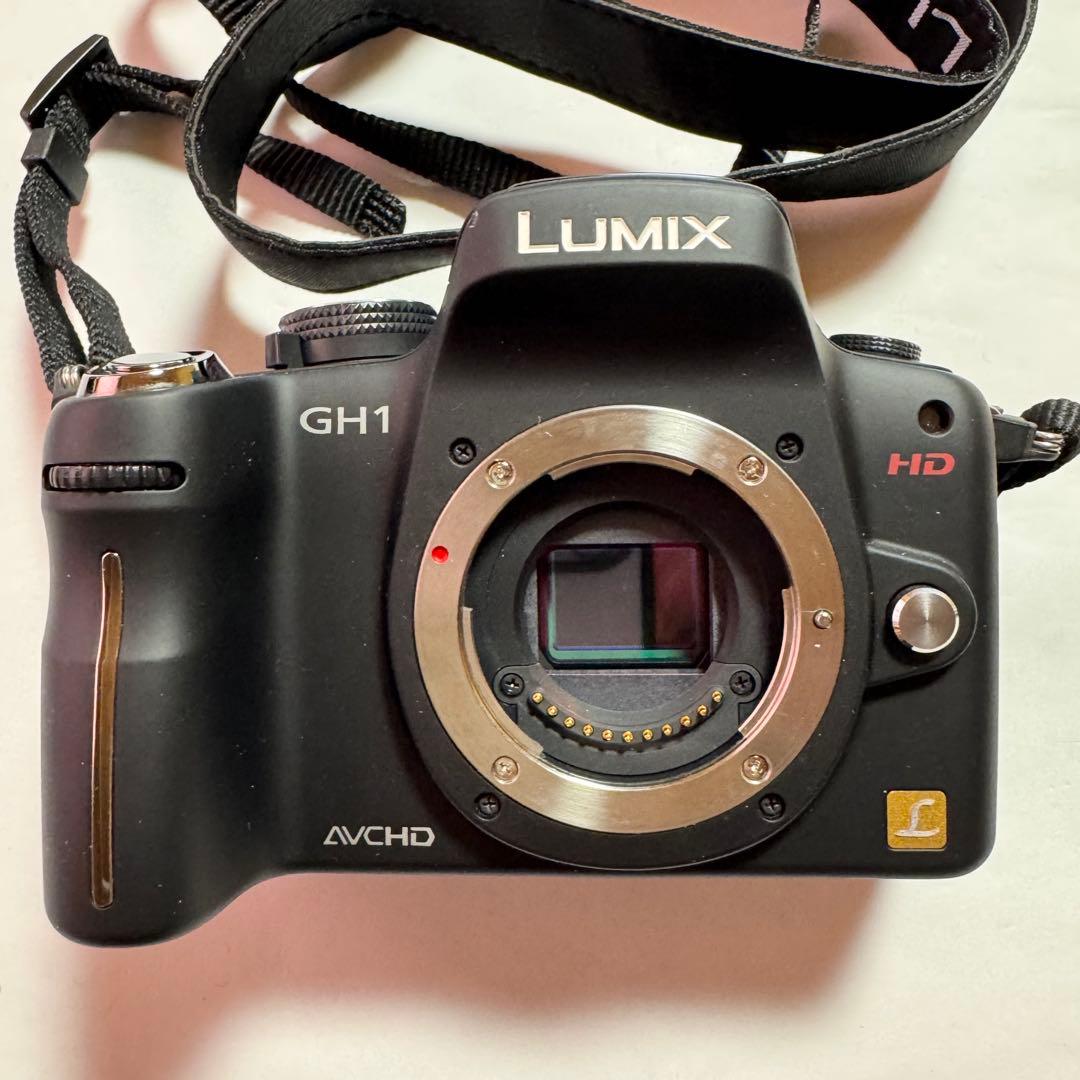 Panasonic Mirrorless Interchangeable Lips Lumix Dmc-Gh1