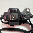 Panasonic Mirrorless Interchangeable Lips Lumix Dmc-Gh1