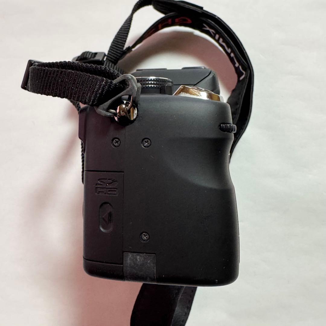 Panasonic Mirrorless Interchangeable Lips Lumix Dmc-Gh1