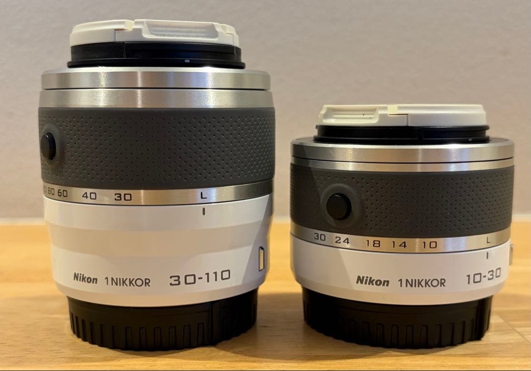 Nikon Digital Camera 1 J2