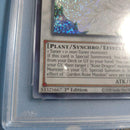 Yu-Gi-Oh! Ocg Duel Monsters (Foreign Languages) Psa10 Garden Rose Maiden 1St Ed