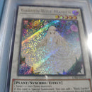 Yu-Gi-Oh! Ocg Duel Monsters (Foreign Languages) Psa10 Garden Rose Maiden 1St Ed