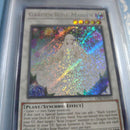 Yu-Gi-Oh! Ocg Duel Monsters (Foreign Languages) Psa10 Garden Rose Maiden 1St Ed