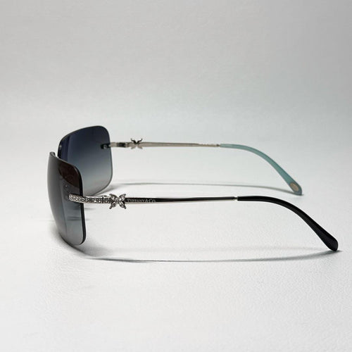 Tiffany Sunglasses Tf3038-B