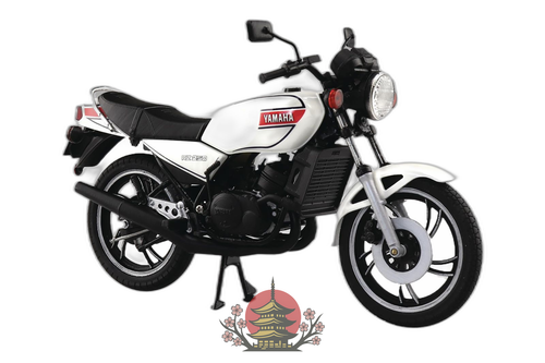 Others 1/12 Rz250