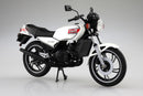 Others 1/12 Rz250