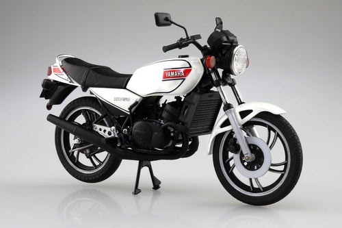 Others 1/12 Rz250