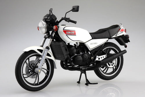 Others 1/12 Rz250