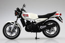 Others 1/12 Rz250