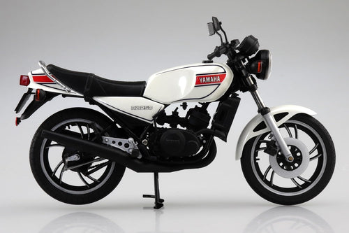 Others 1/12 Rz250