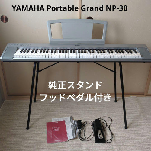 Yamaha Keyboards Digital Pianos Portable Grand Np-30