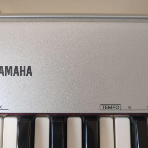 Yamaha Keyboards Digital Pianos Portable Grand Np-30