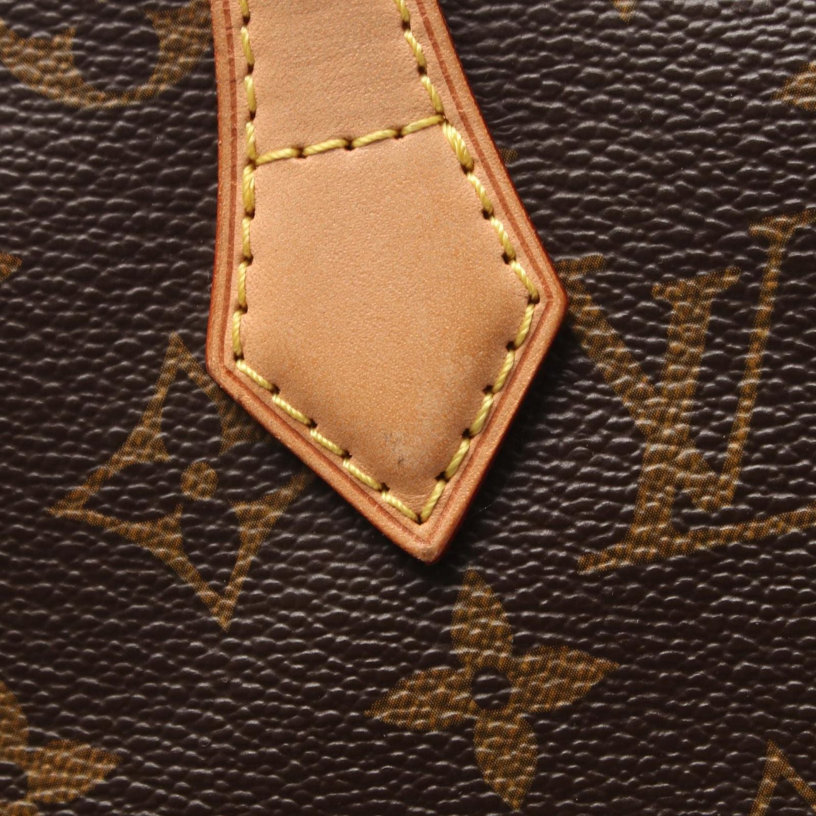 Louis Vuitton Handbag Pm