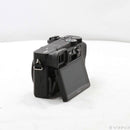 Sony Mirrorless Interchangeable Lips 6600 Ilce-6600 368