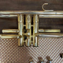 Yamaha Trumpets Ytr233